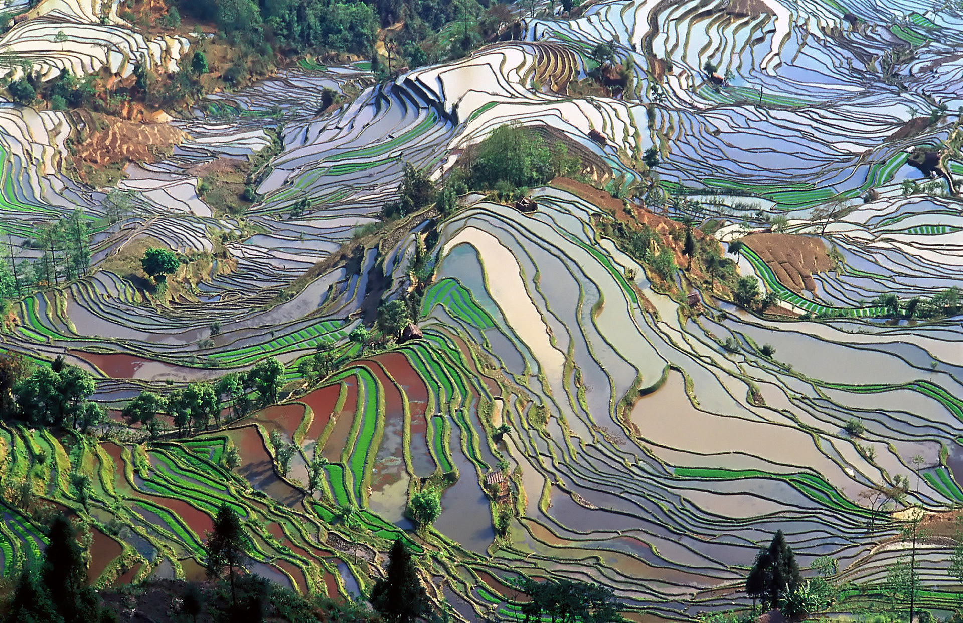 Teres Padi Yuanyang: Tempat Pandang dan Perancangan