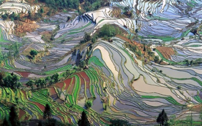 Teres Padi Yuanyang: Tempat Pandang dan Perancangan