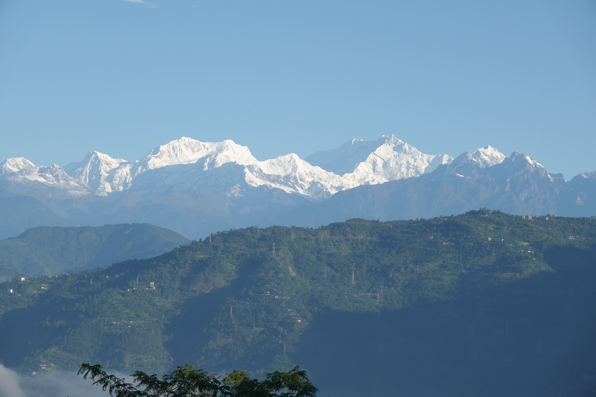 Teeplantagen in Darjeeling: Besuch und Planung