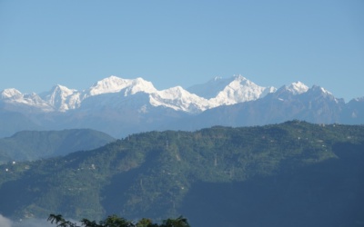 Darjeeling Tea Estates: Visitor Access and Planning