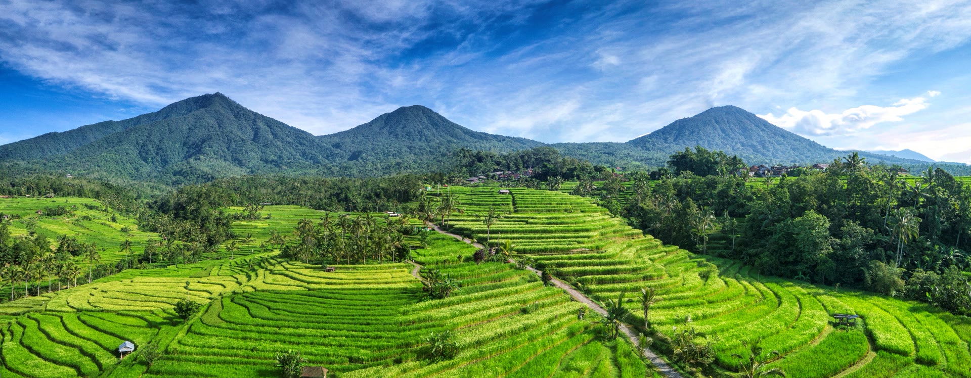 Jatiluwih-Reisterrassen: Besuch der Subak-Landschaft auf Bali planen