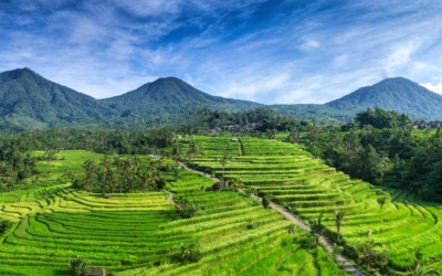Jatiluwih Rice Terraces: Plan a Visit to Bali’s Subak Landscape