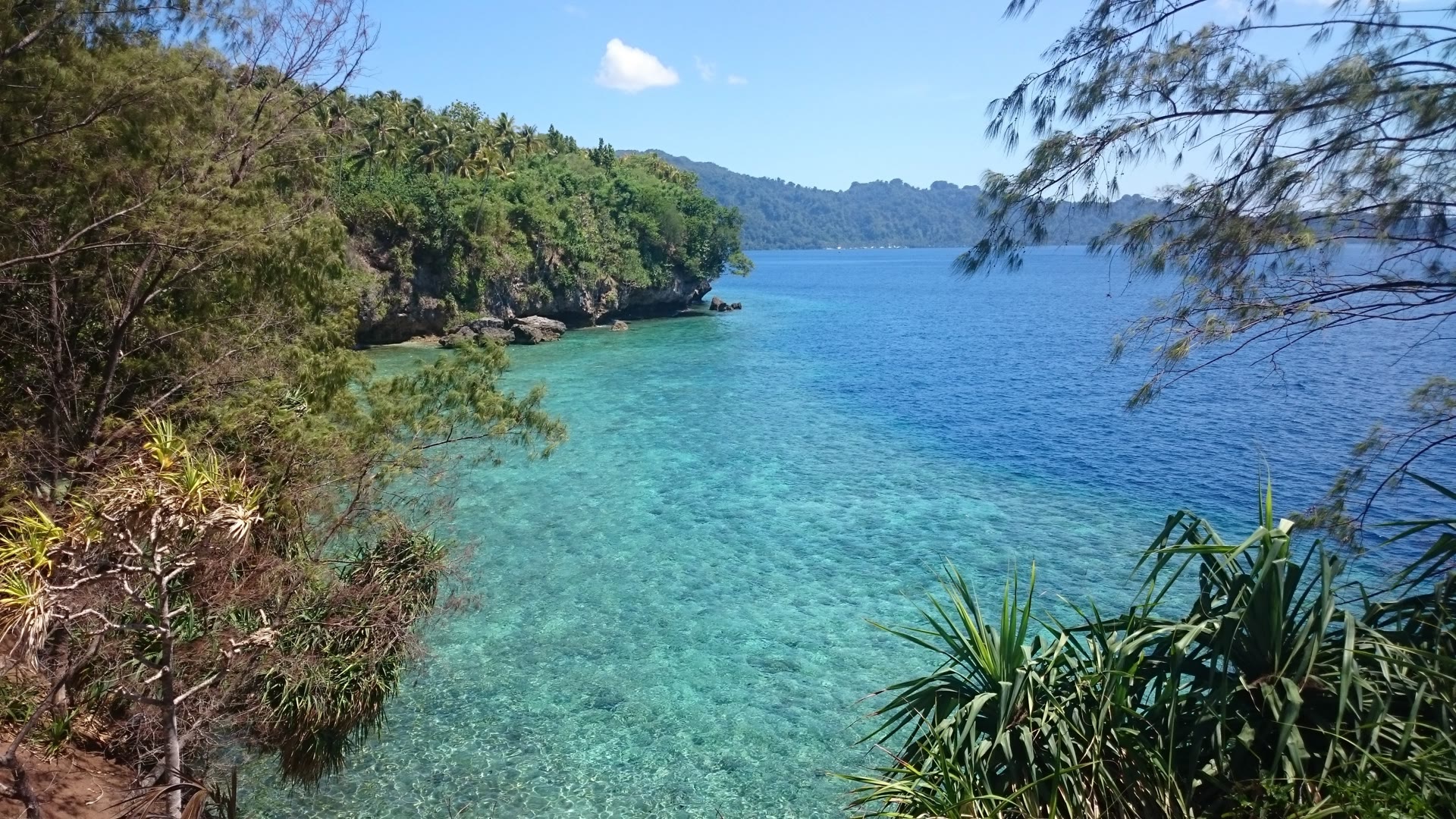 Îles Banda : patrimoine des épices, plongée et préparation du voyage