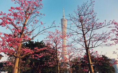 Canton Tower: Views, Attractions and Visit Planning