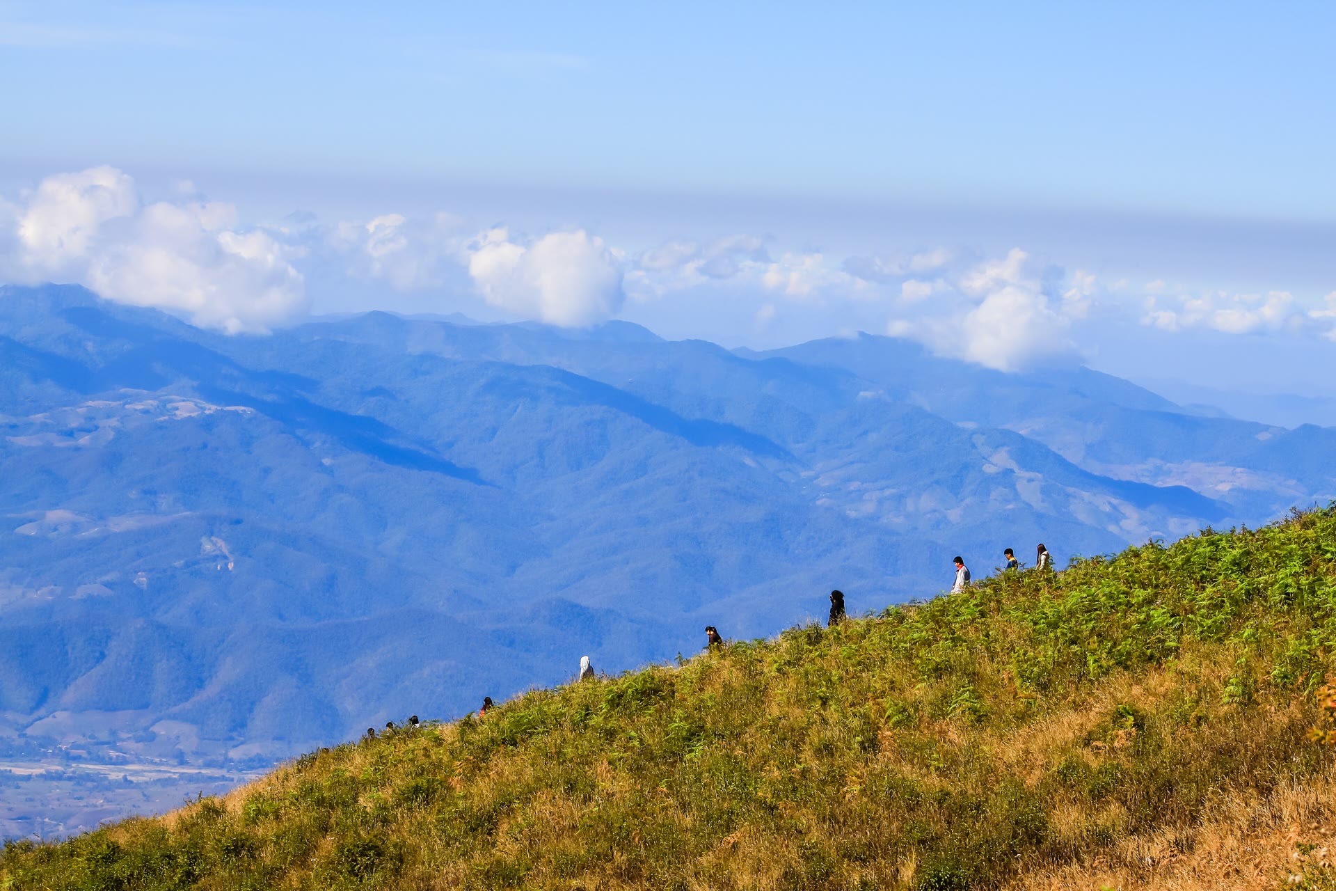 Doi Inthanon National Park: trails, waterfalls and pagodas