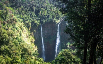 Bolaven Plateau: waterfalls, coffee and routes from Pakse
