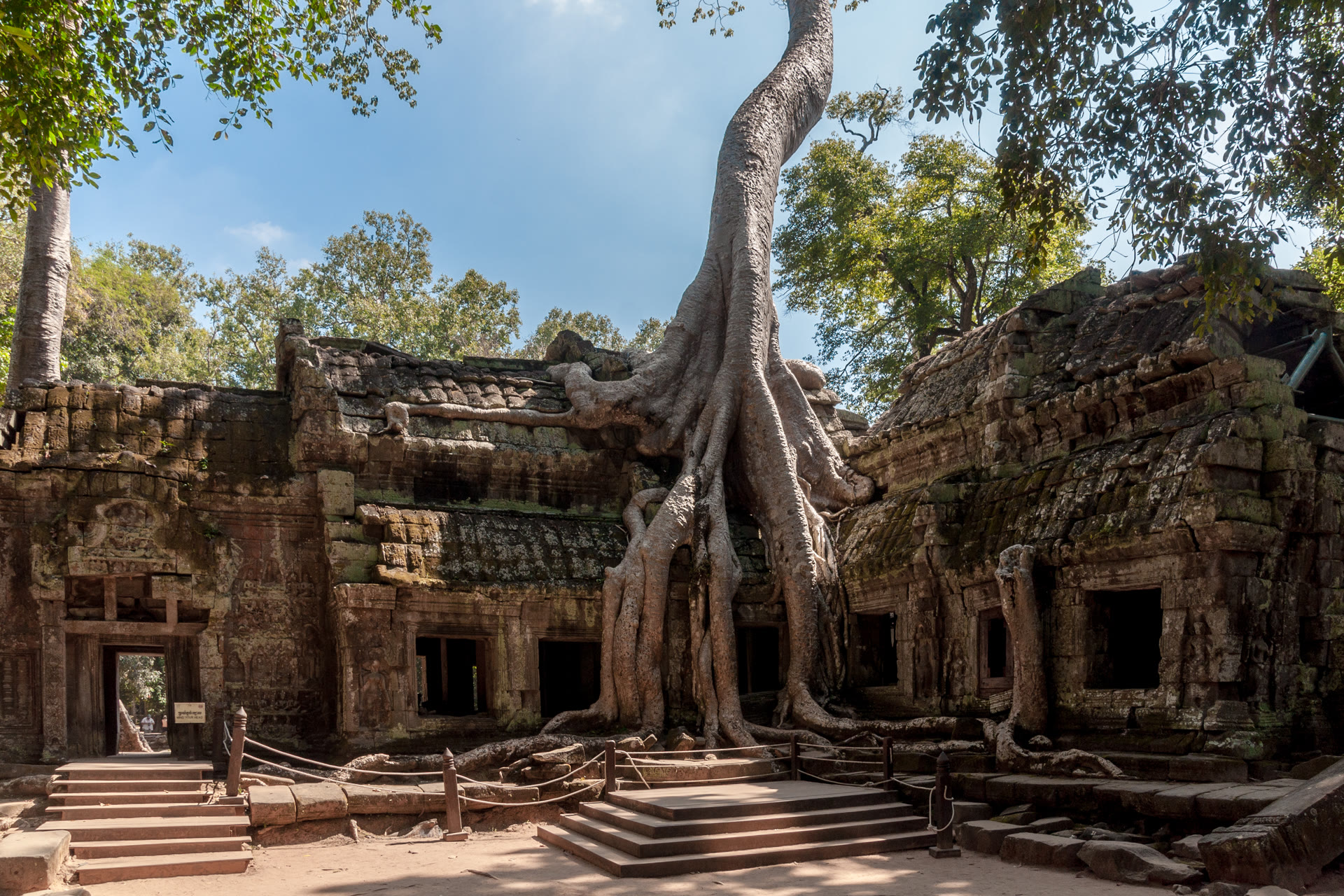 Ta Prohm: Roots, History and Planning Your Visit
