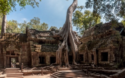 Ta Prohm: Rễ cây, lịch sử và kế hoạch tham quan