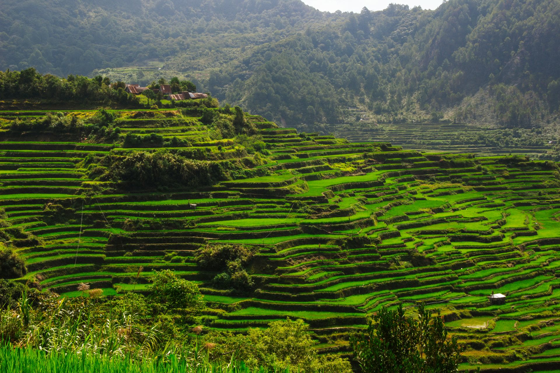 Reisterrassen von Banaue: Batad, Bangaan und Ifugao-Kulturerbe
