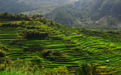 Rizières en terrasses de Banaue : Batad, Bangaan et héritage Ifugao
