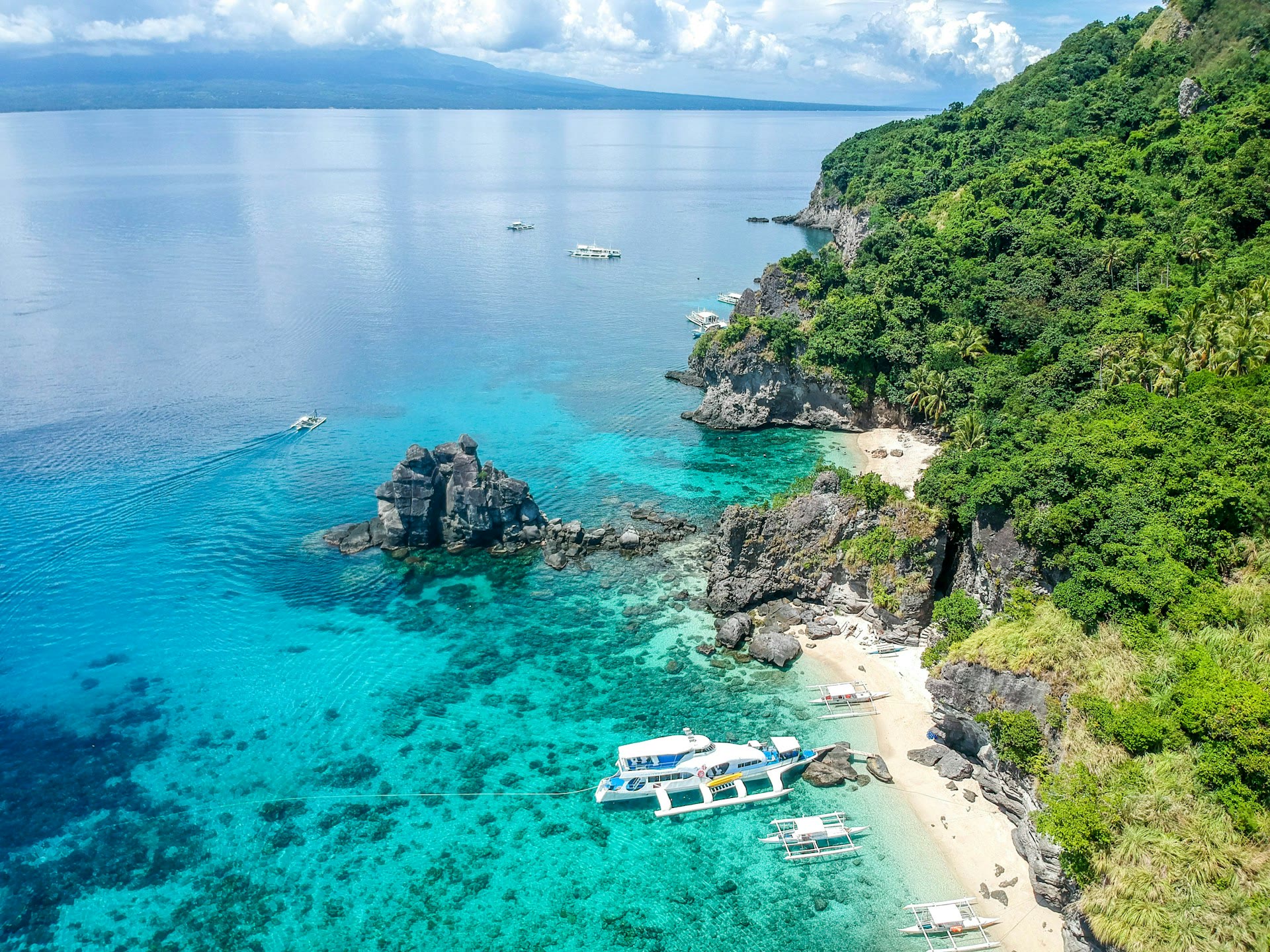 Apo Island : guide de plongée et de snorkeling