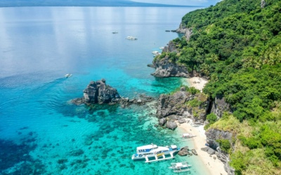 Apo Island : guide de plongée et de snorkeling
