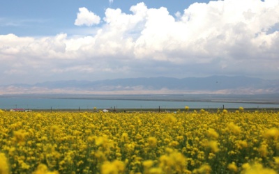 Qinghai Lake: Visit Planning, Roads and Altitude