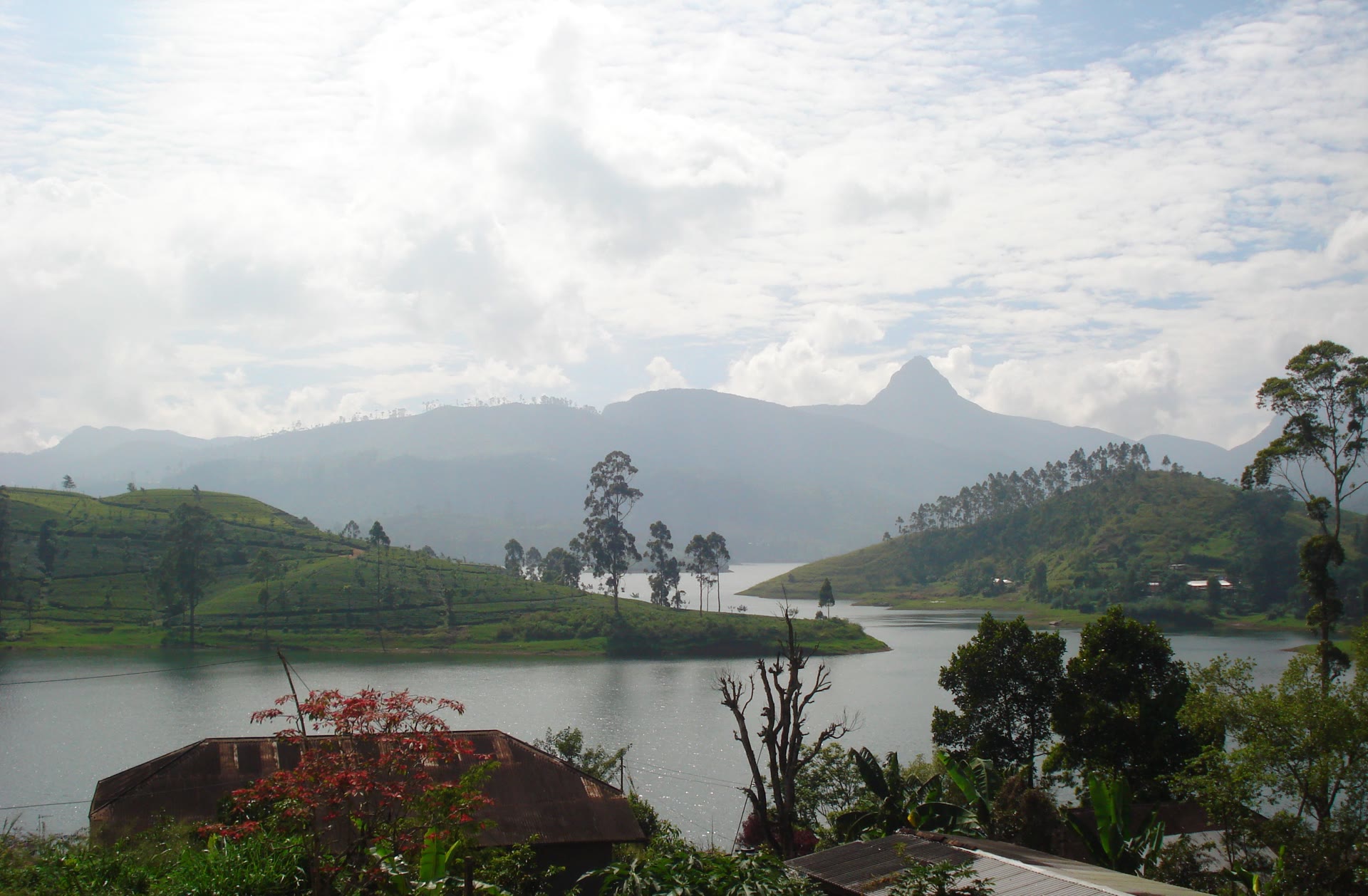 Adam's Peak (Sri Pada): plan a demanding pilgrimage climb