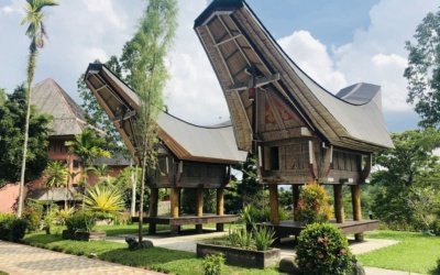 Tana Toraja : villages, lieux funéraires et conseils de visite