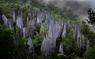 Taman Nasional Gunung Mulu: Gua dan Pinnacles