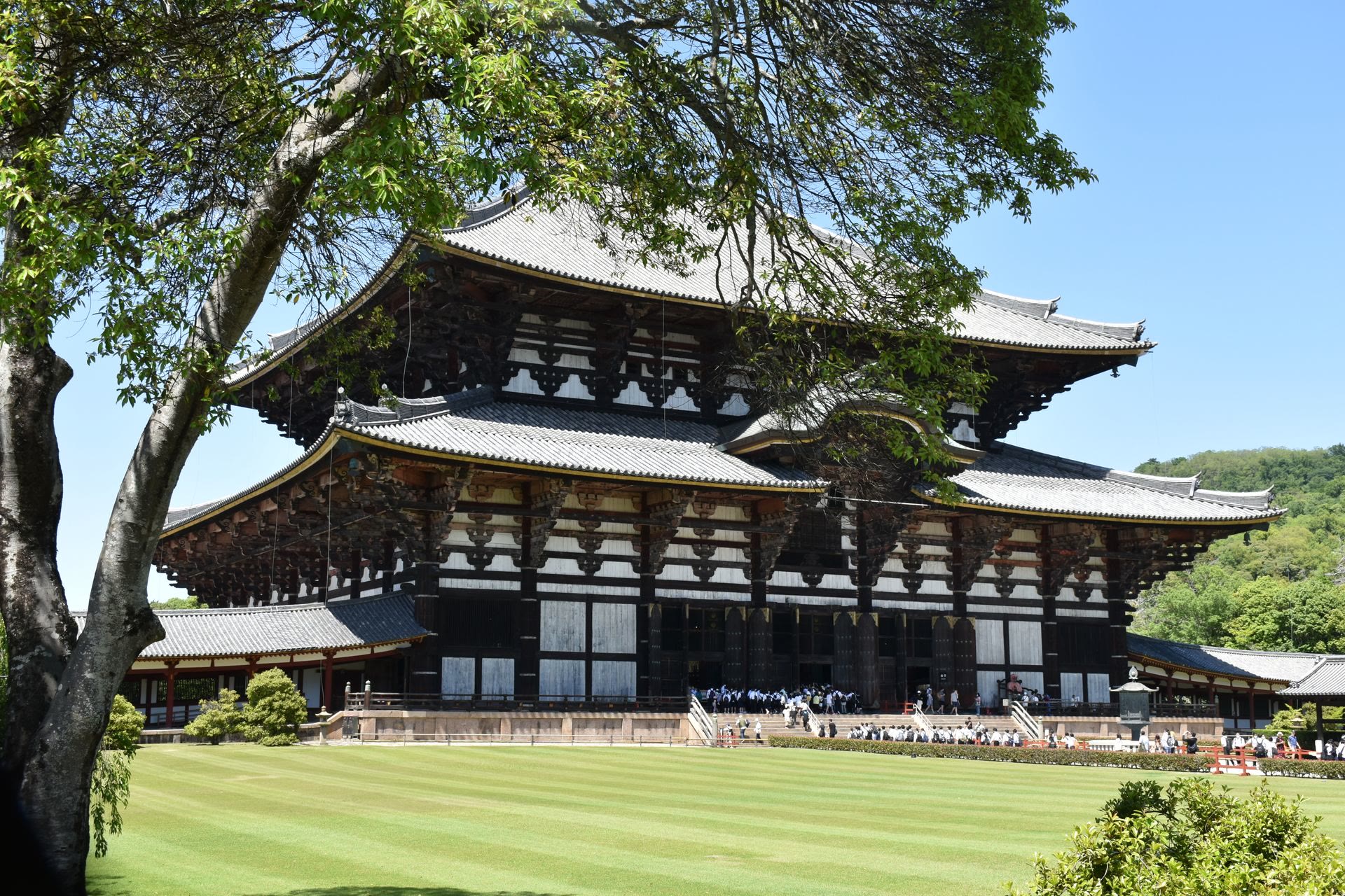 Nara Park and Tōdai-ji: deer, tickets and a practical route