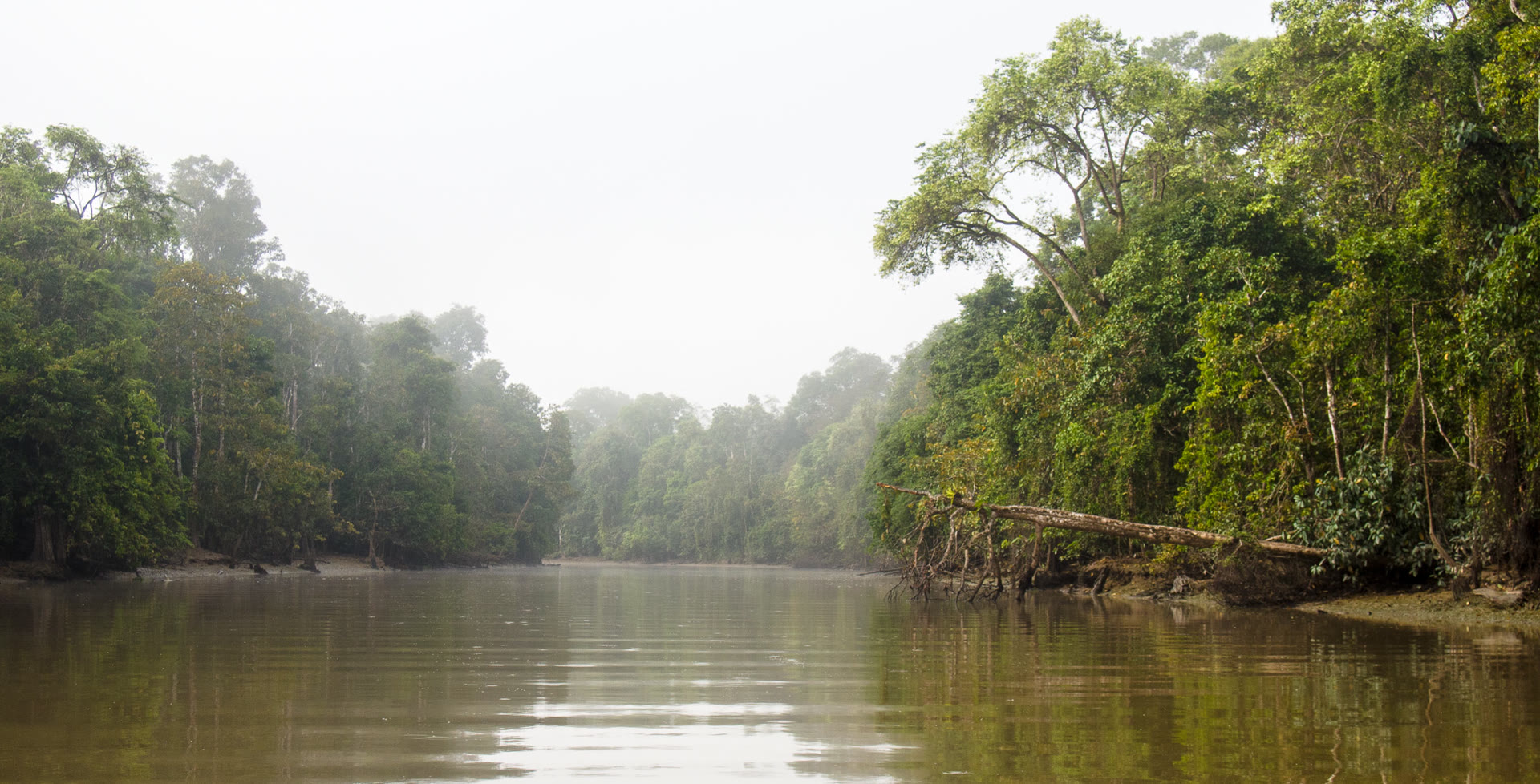 Safari Sungai Kinabatangan: Memilih Penginapan