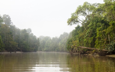 Safari Sungai Kinabatangan: Memilih Penginapan
