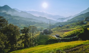 Sapa Reisterrassen: Trekking durch Vietnams Bergmeisterwerk