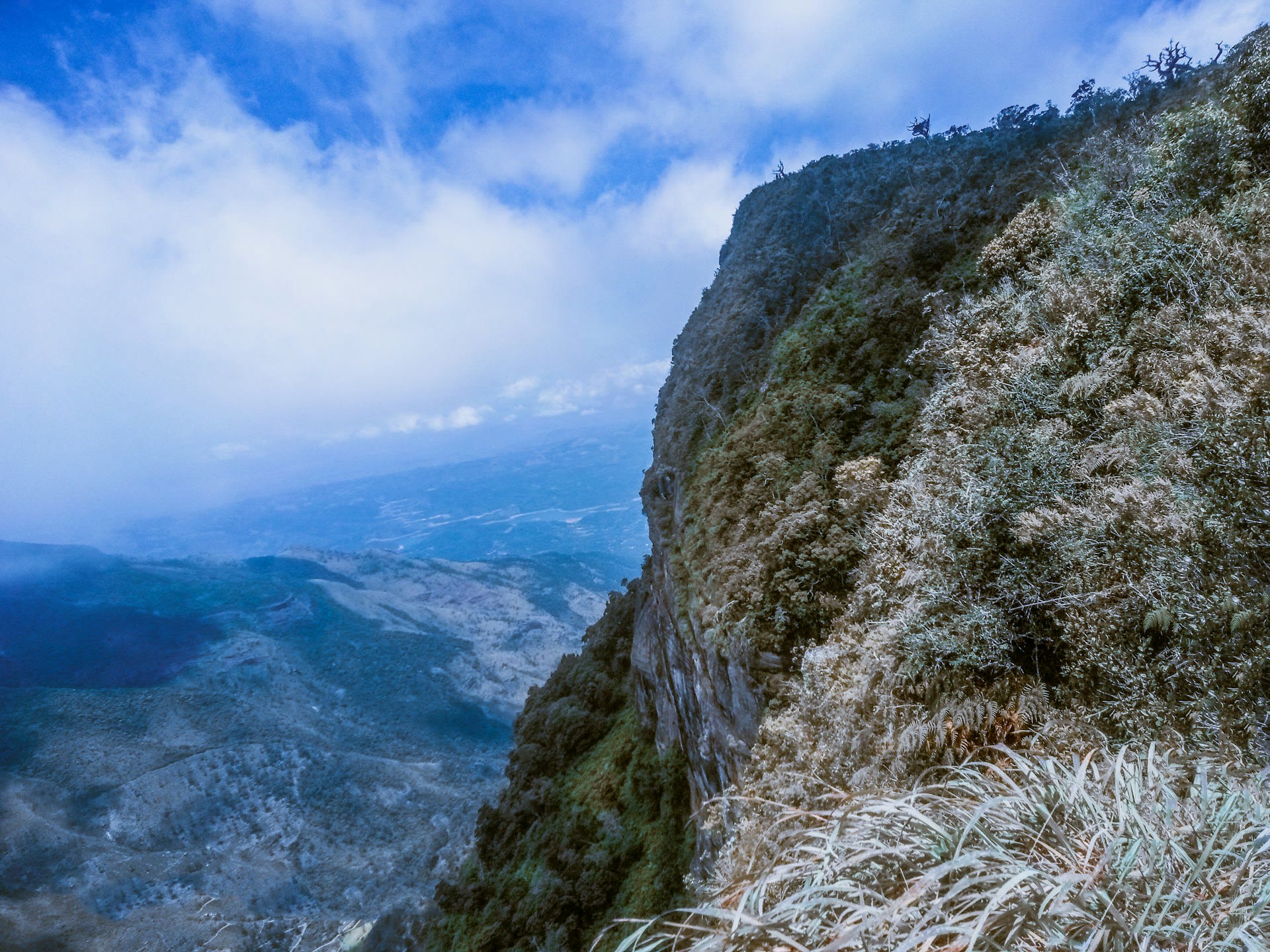 Horton Plains and World's End: Plan Your Hike