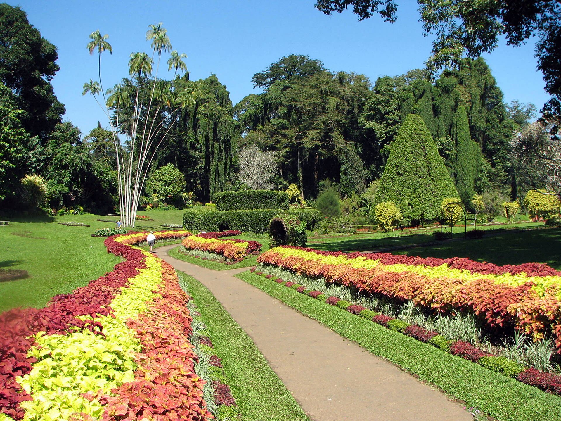 Peradeniya Botanical Gardens: Plan Your Kandy Visit