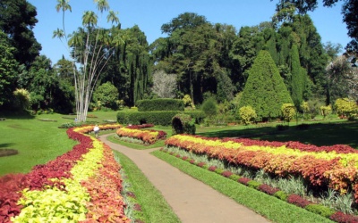 Vườn bách thảo Peradeniya: Lên kế hoạch thăm Kandy