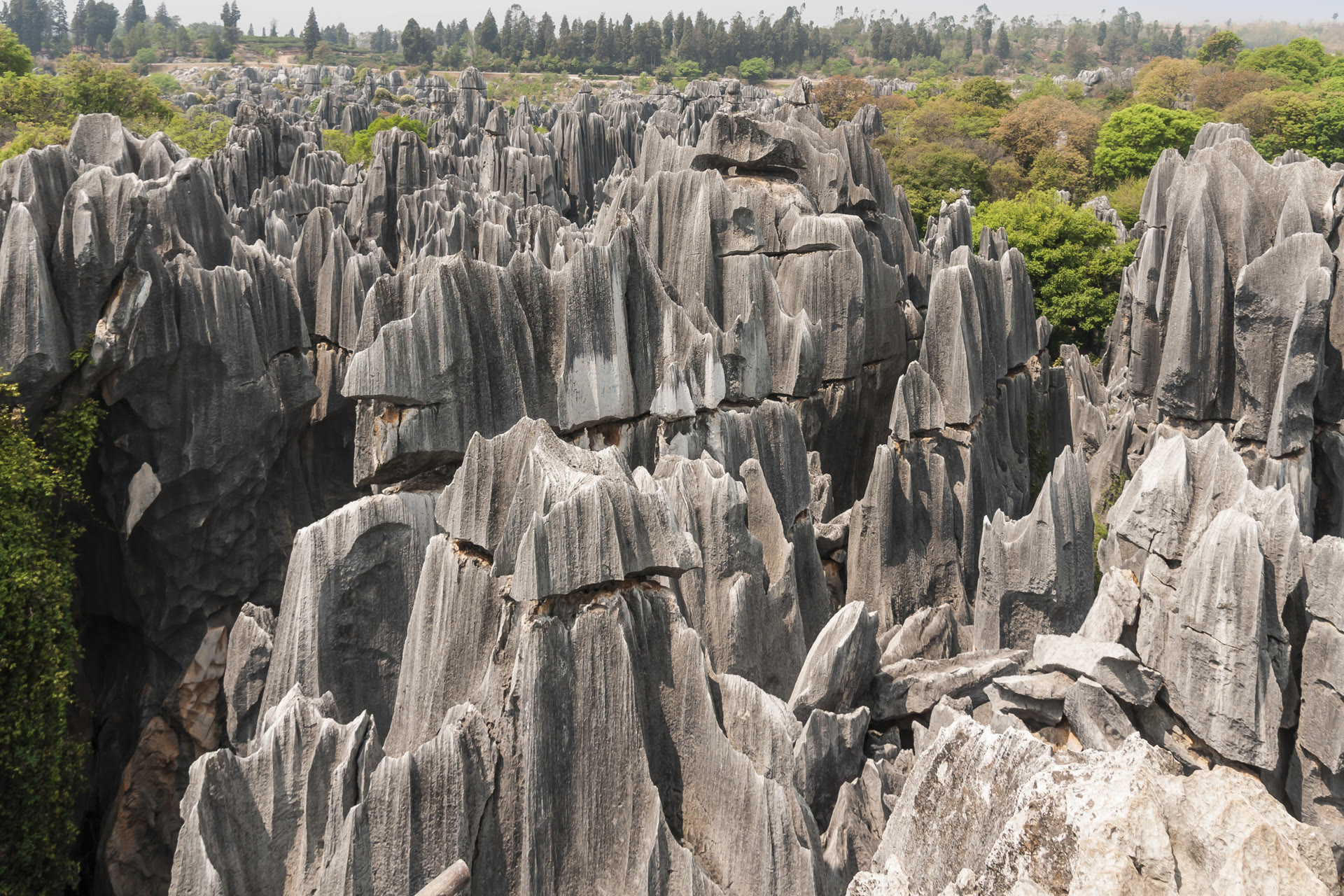 Kunming