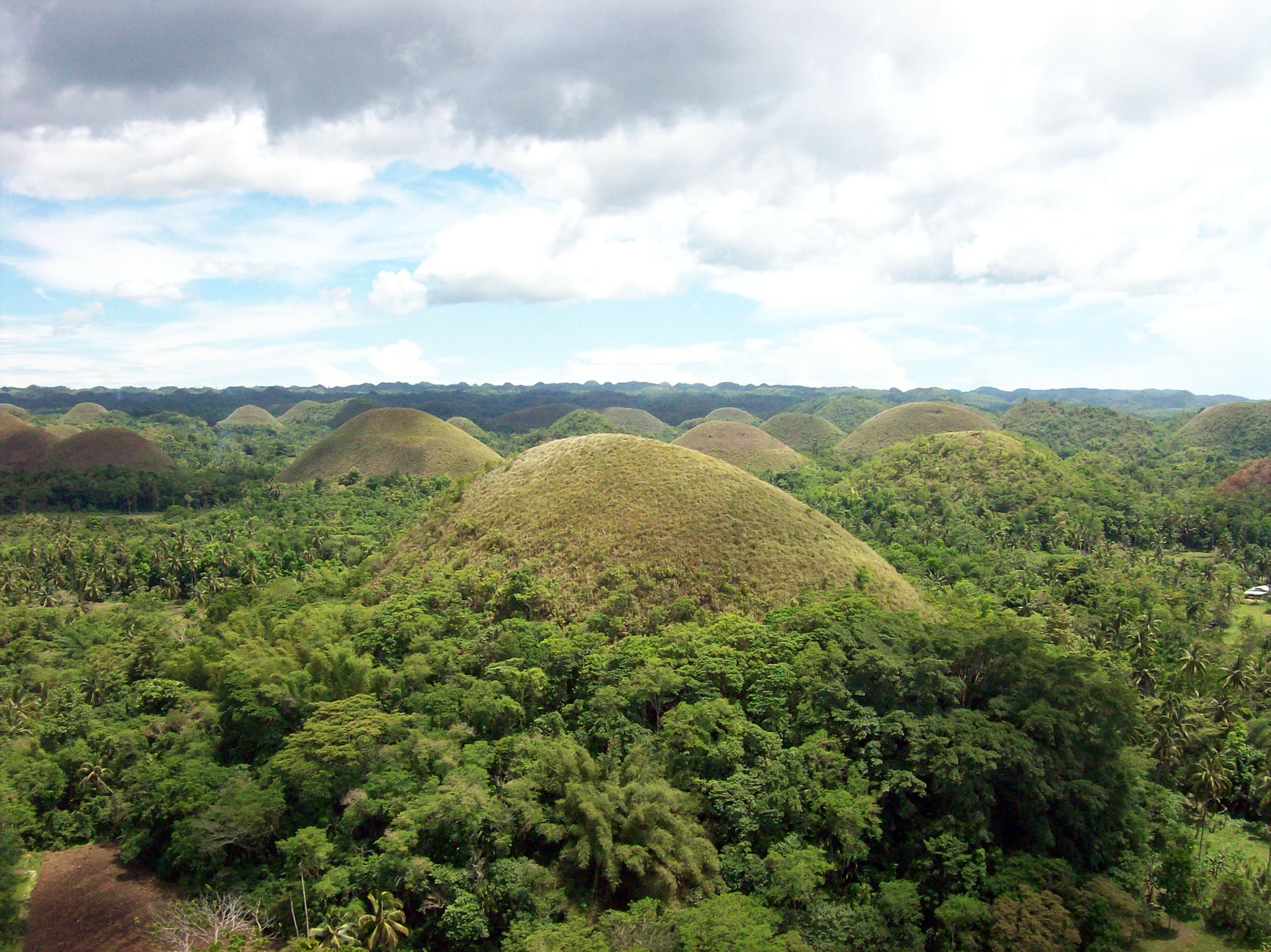 How to Get from Cebu to Bohol