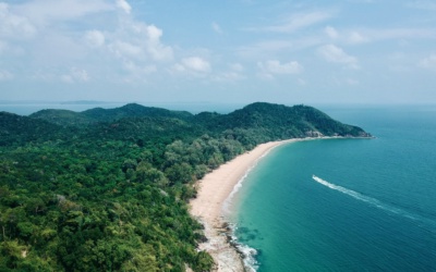 Hutan Hujan Royal Belum: Menjelajahi Alam Liar Kuno Malaysia
