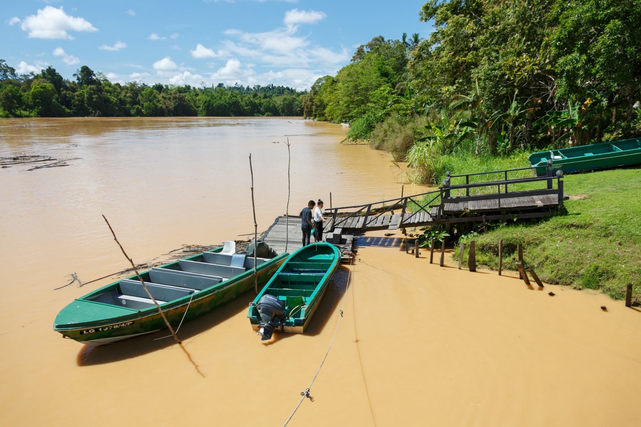 Perahu di tepi Sungai Kinabatangan di Sukau