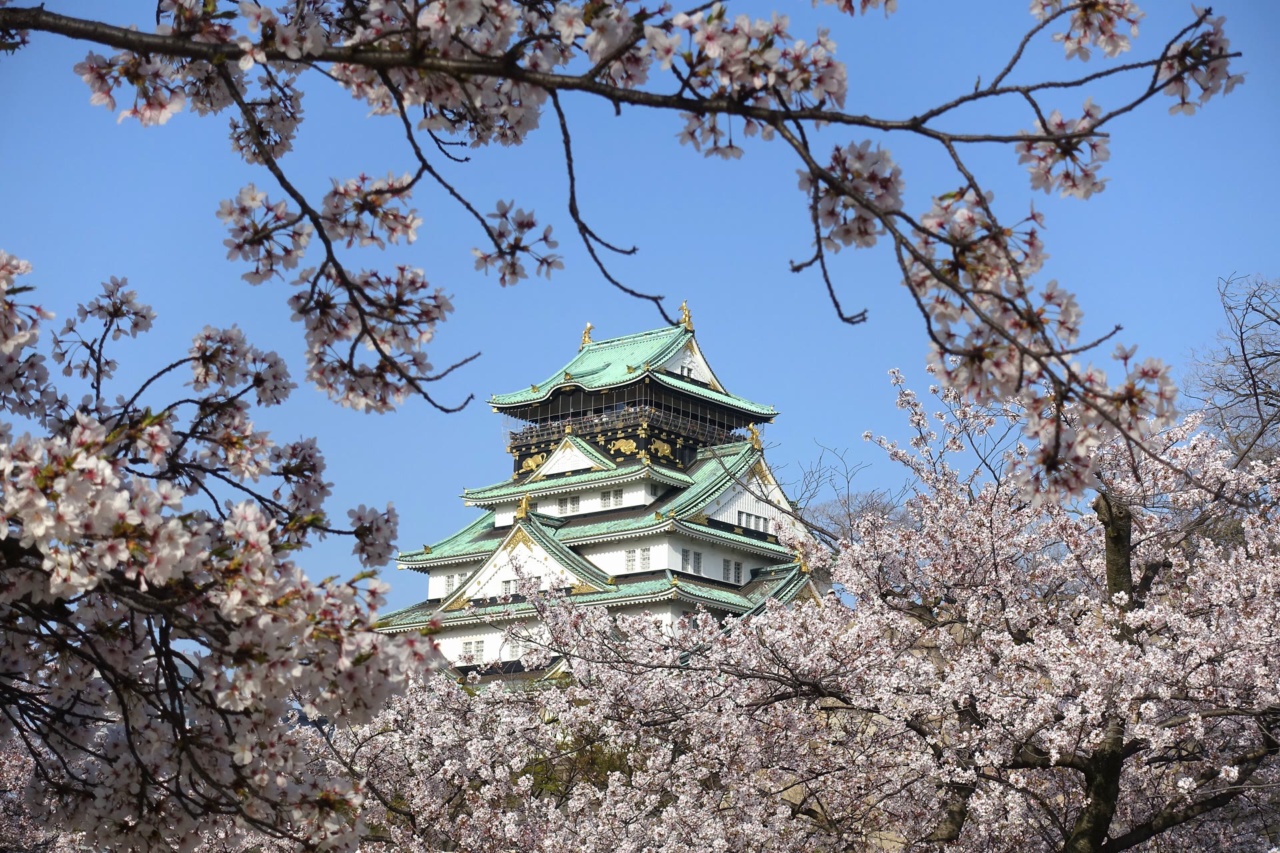 Istana Osaka di celah bunga sakura