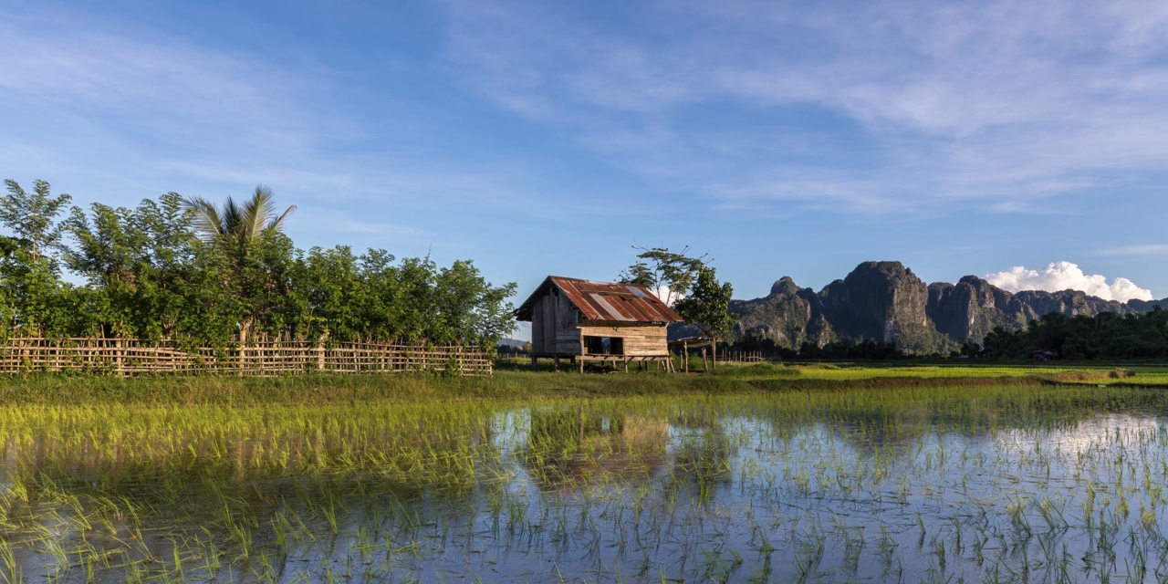 A wooden hut in green rice fields below limestone hills