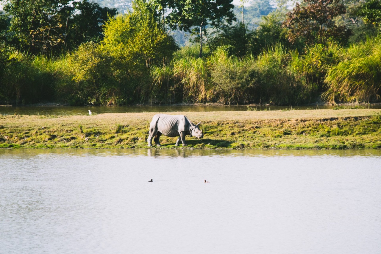 Prairie, lac et arbres à Kaziranga