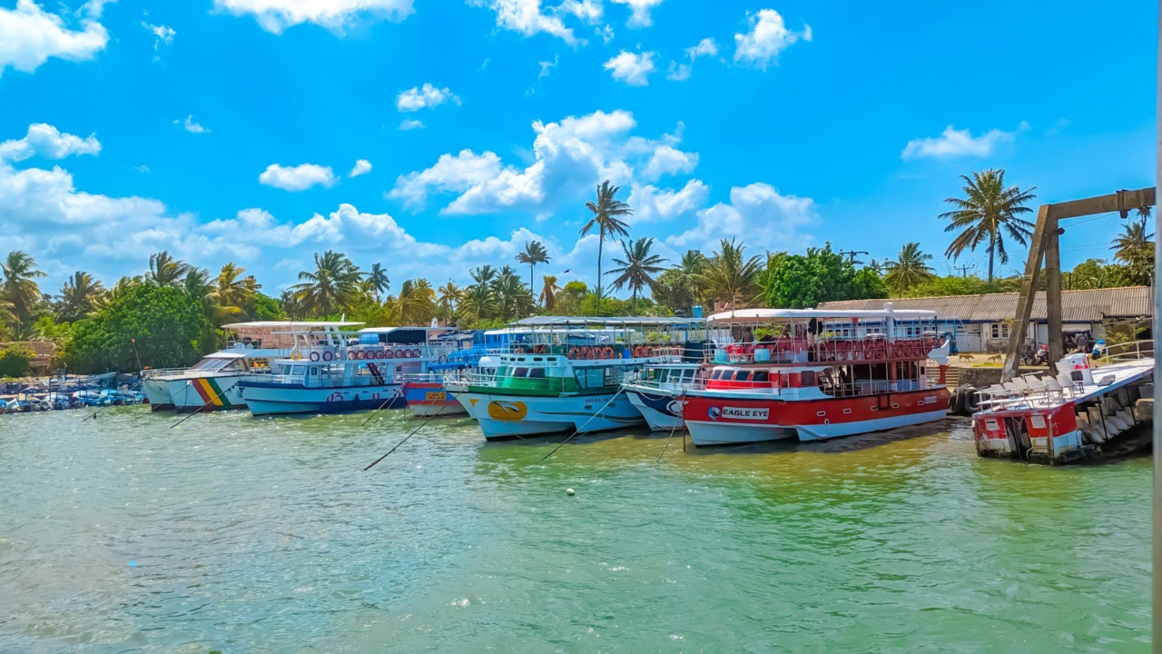 Des bateaux colorés dans le port de Mirissa