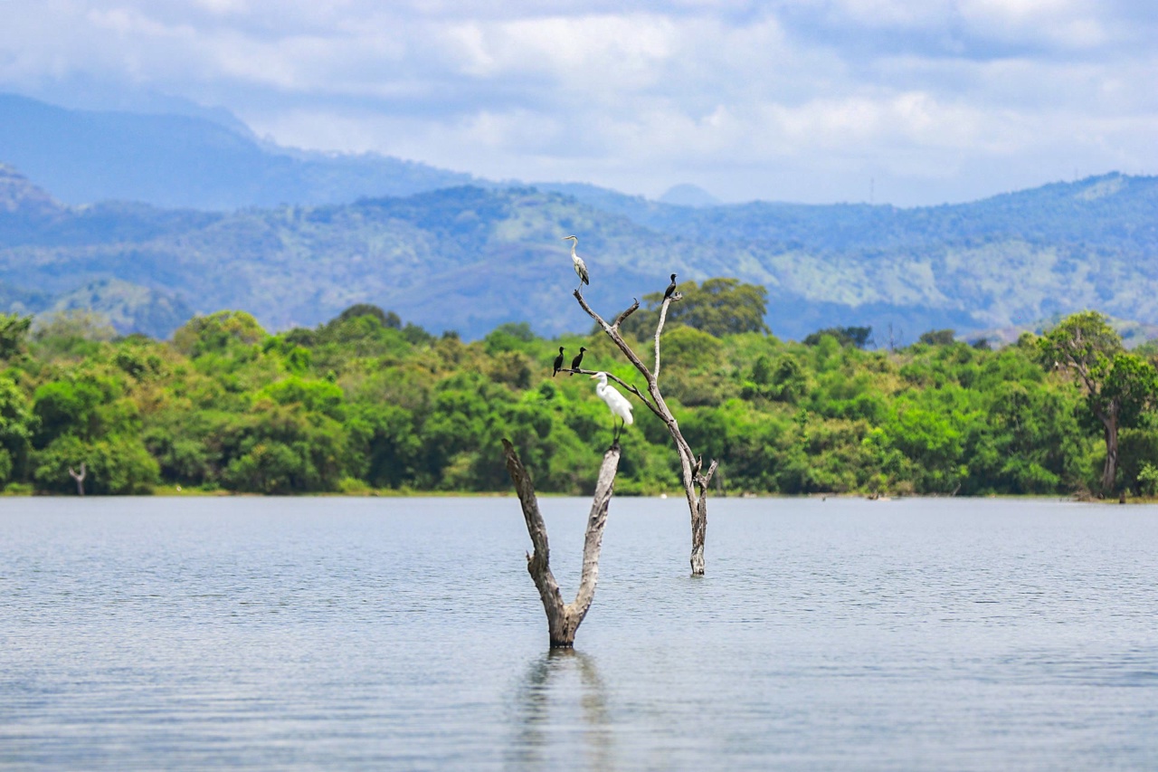 View across the water in Udawalawe National Park