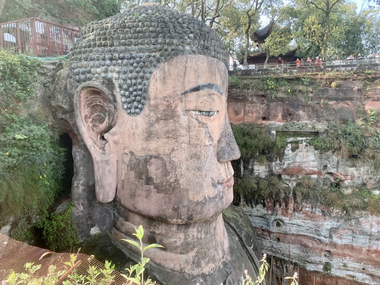 Kepala Buddha Raksasa Leshan dengan ikal rambut dan telinganya