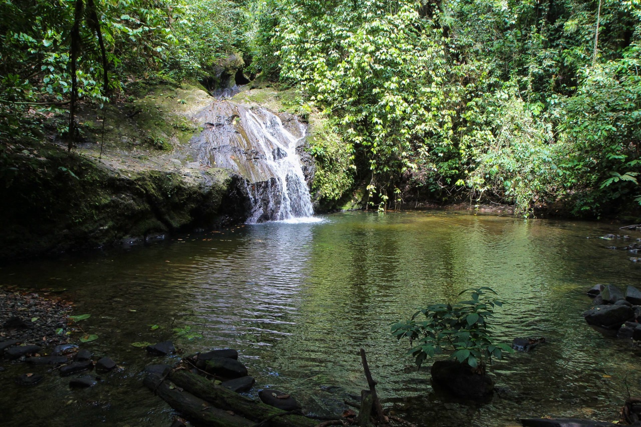 Air terjun kecil dengan kolam di Danum Valley
