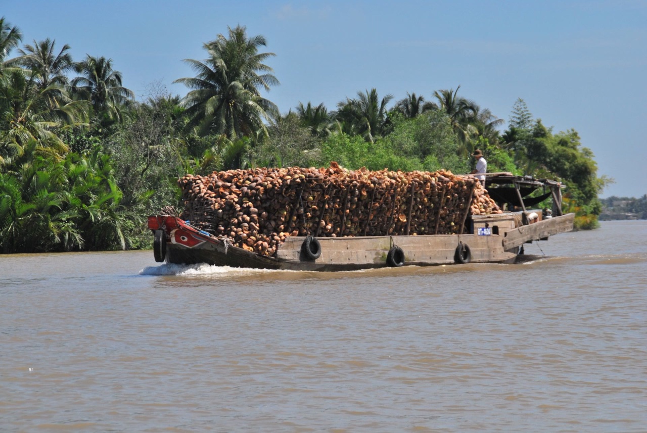 Bot kargo kayu memuatkan kelapa di sebatang sungai di Delta Mekong
