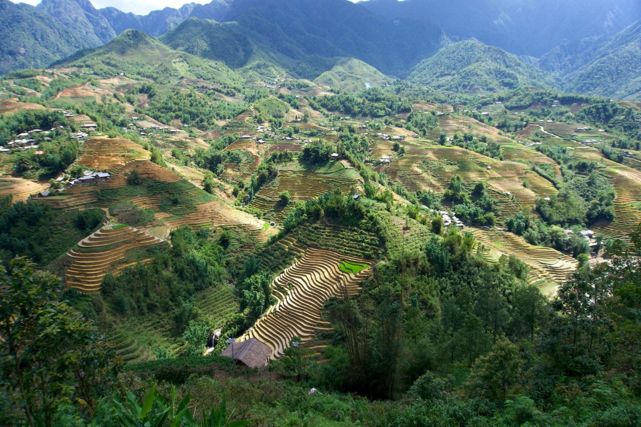 Terraced rice fields in the mountains around Sapa
