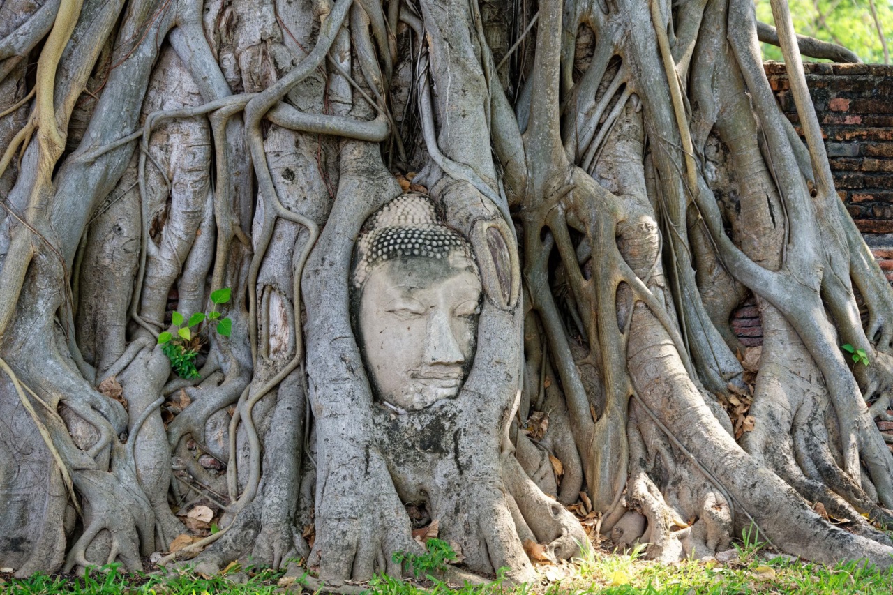 Kepala Buddha di akar pokok di Wat Mahathat