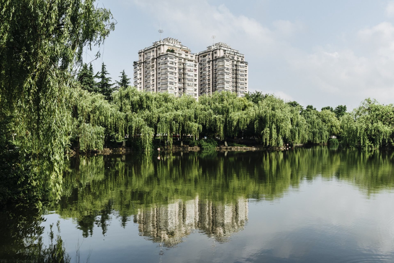 Hồ trong Công viên Xiuhu
