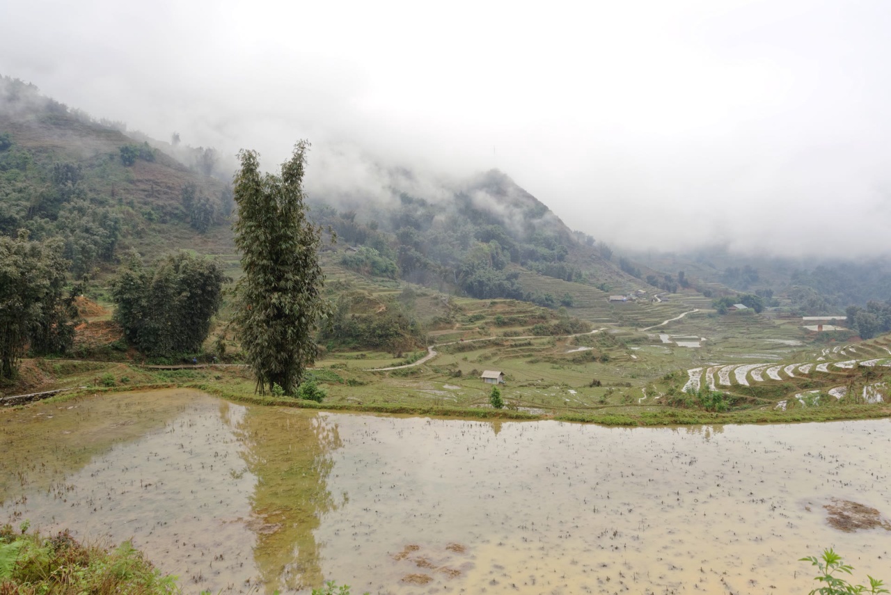 कैट कैट गांव में सीढ़ीदार खेत और धान के खेत