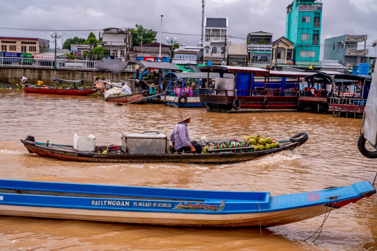 Boats at the Cai Rang floating market in Can Tho