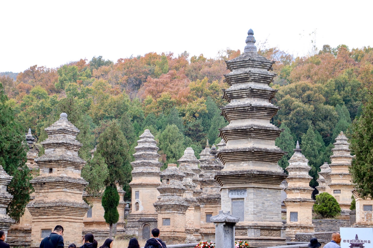 Pagoda yang berdiri rapat di Hutan Pagoda Kuil Shaolin