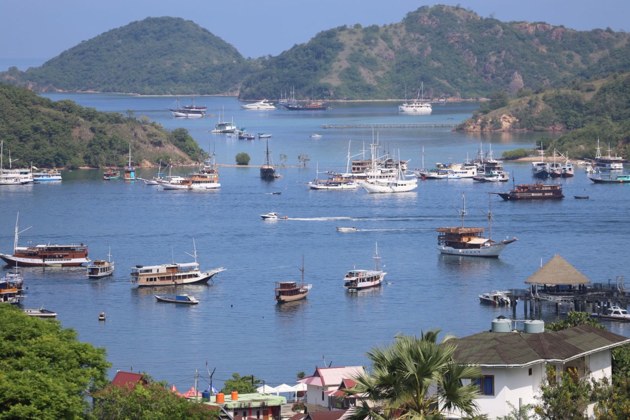 Le port de Labuan Bajo avec des bateaux devant des collines vertes