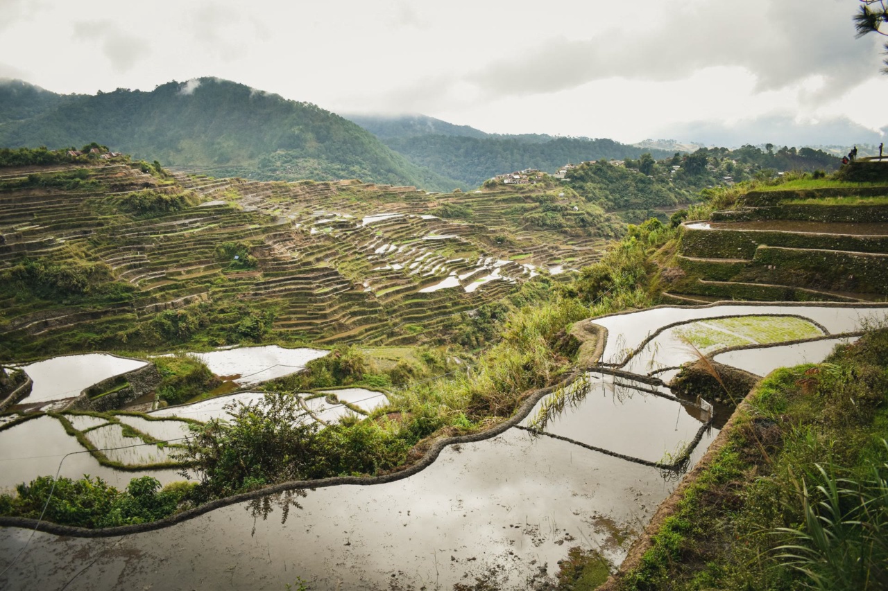 Geflutete Reisterrassen an einem Berghang bei Banaue