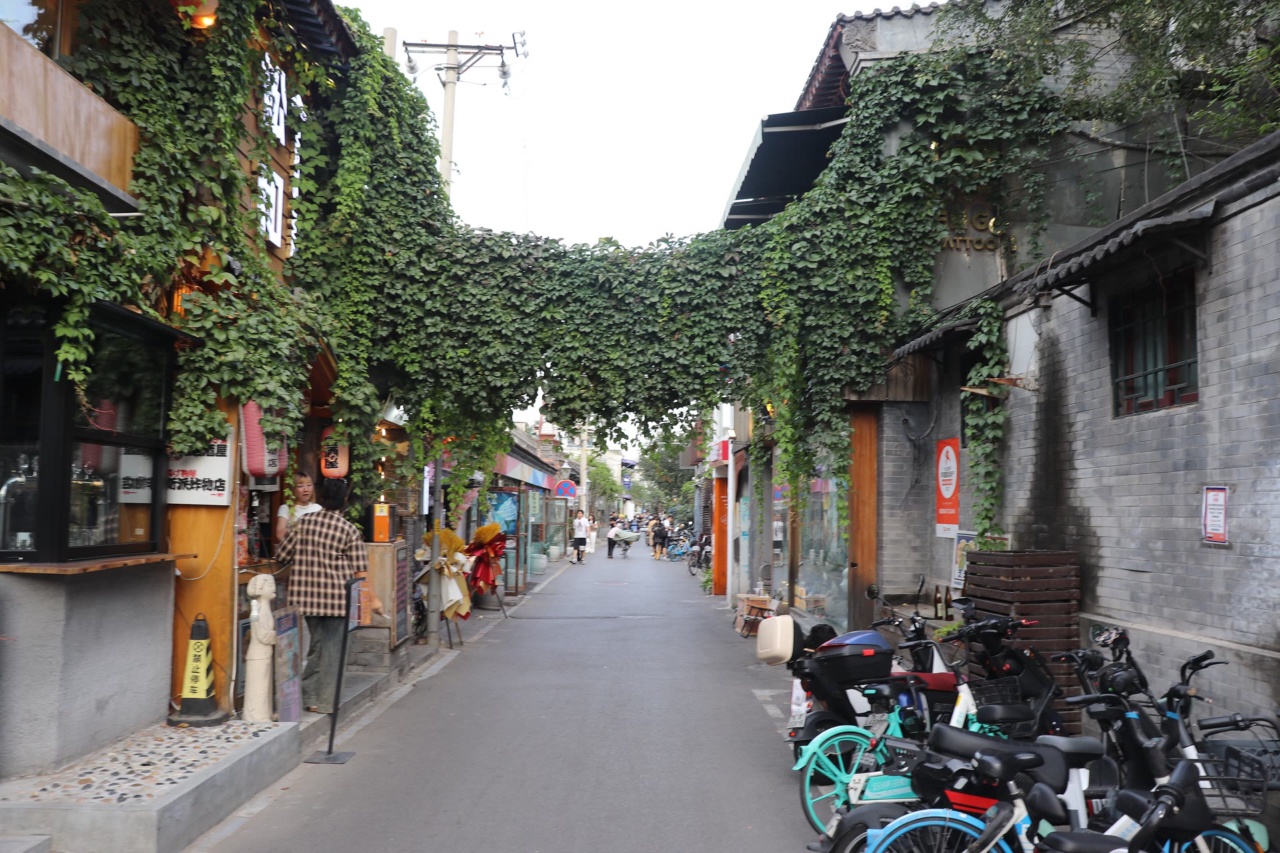 Wudaoying Hutong dengan toko dan bangunan berselimut tanaman rambat
